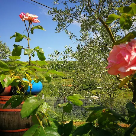 Appartma Maja *