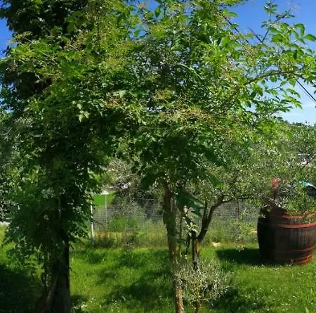 Appartma Maja *